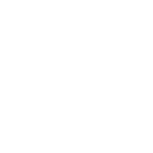 thedigireach-high-resolution-logo-transparent